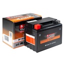 Batterie Power Thunder PTX9 (FA)