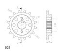 Pignon (Pas 525 - 15 dents)